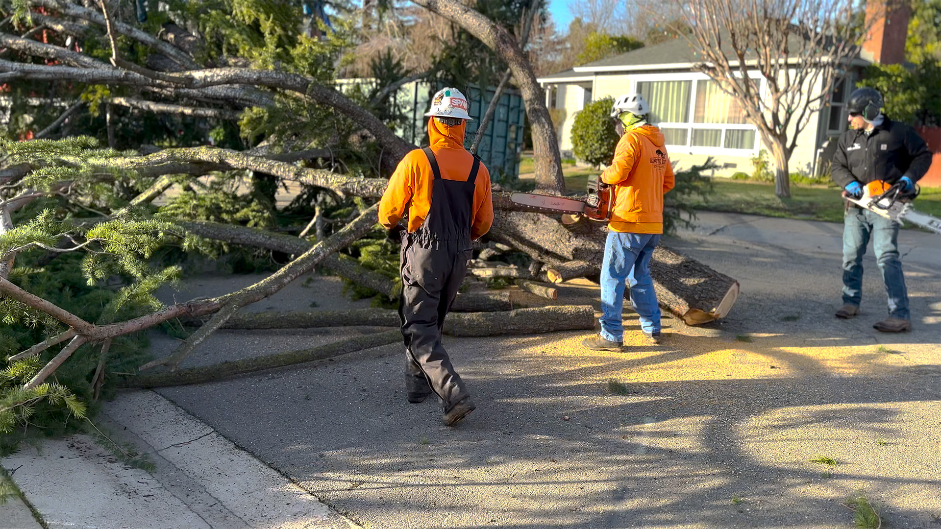 24/7 Emergency Tree Service – Top Tier Tree Care