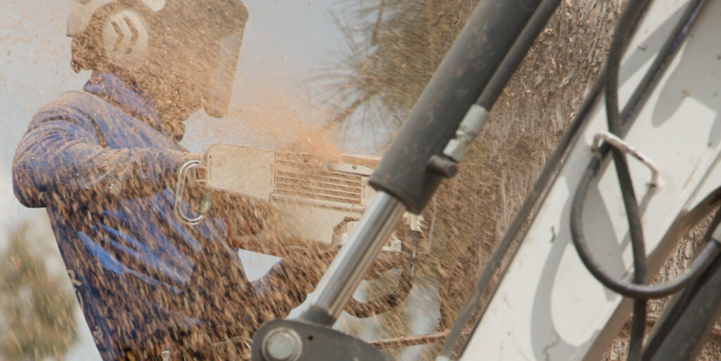 TopTierTreeCare-HeaderImage